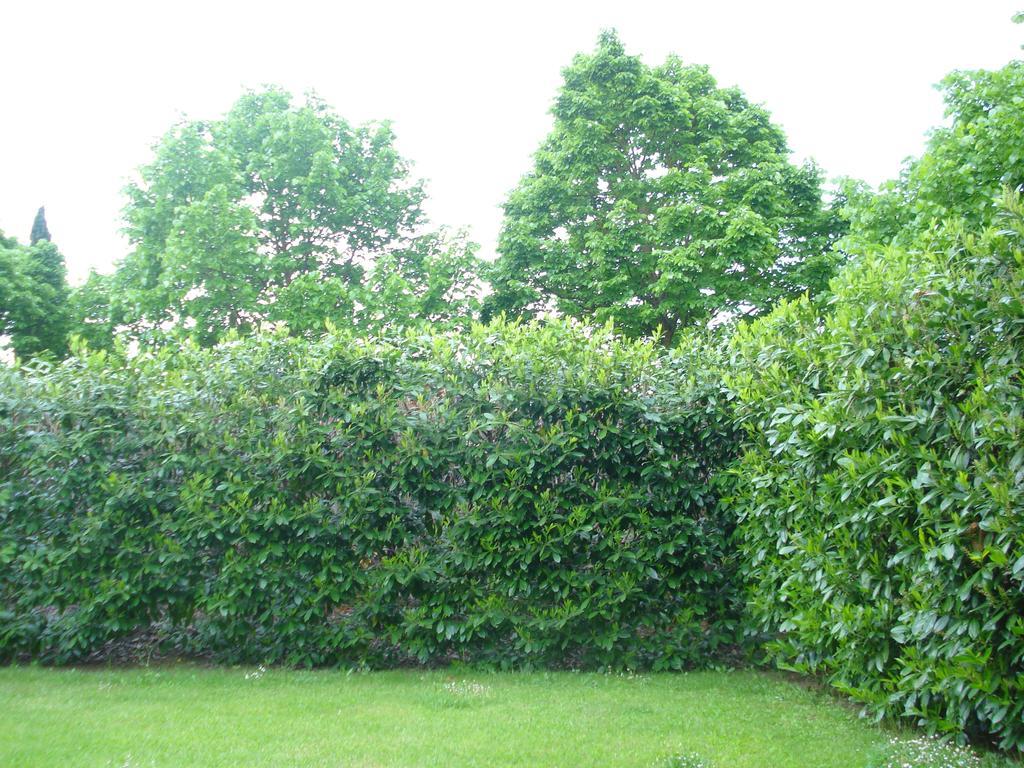 Apartment La Vigna *