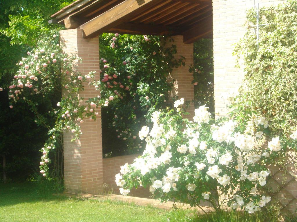 La Vigna Apartamento *